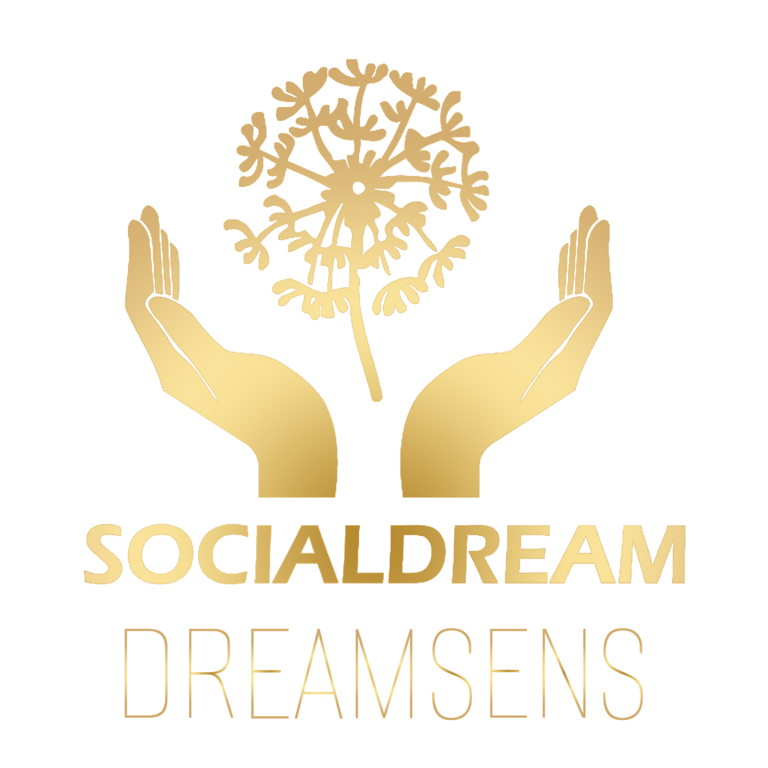 SOCIALDREAM / DREAMSENS