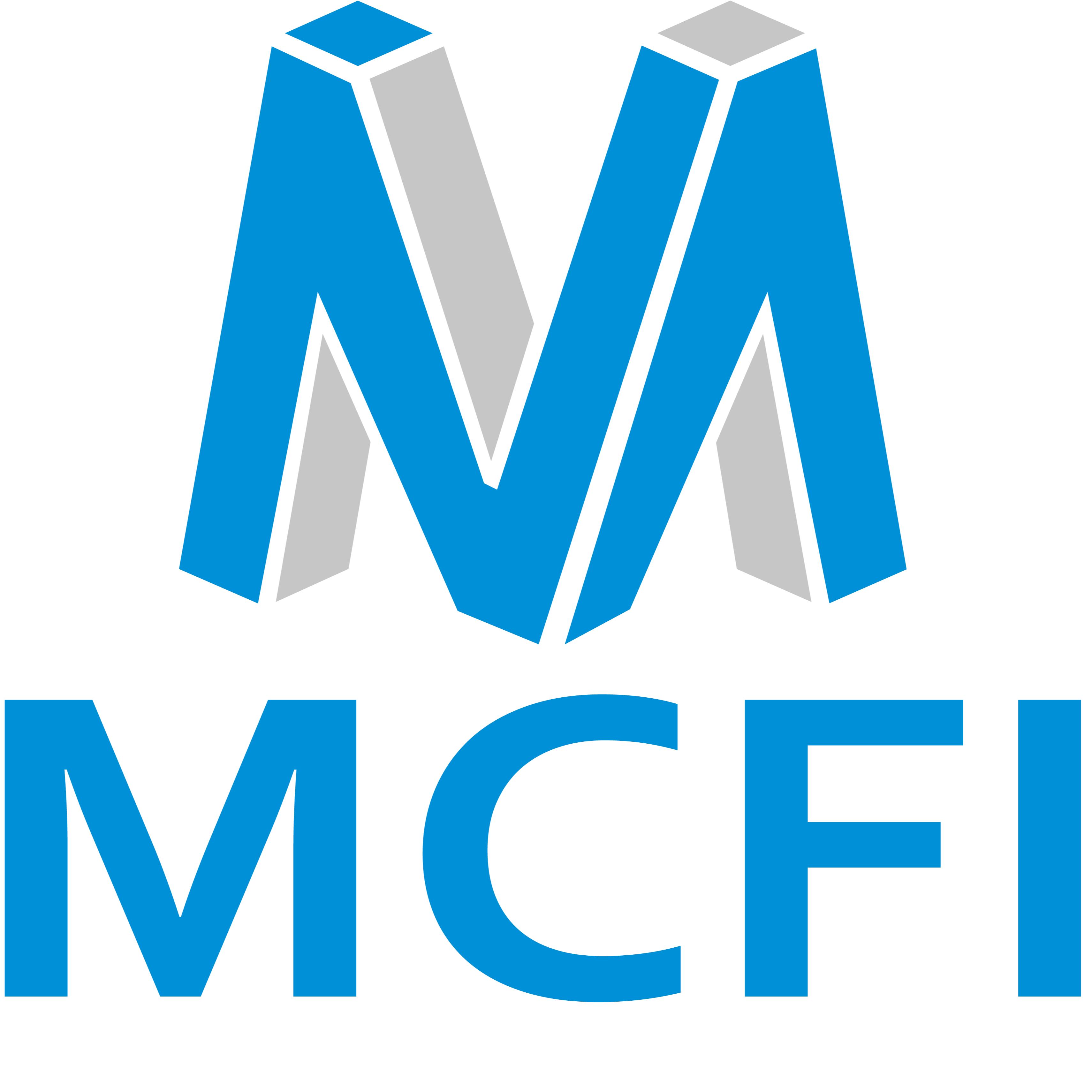 MCFI Sarl