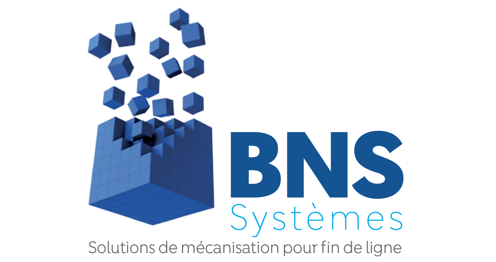 BNS SYSTEMES SAS