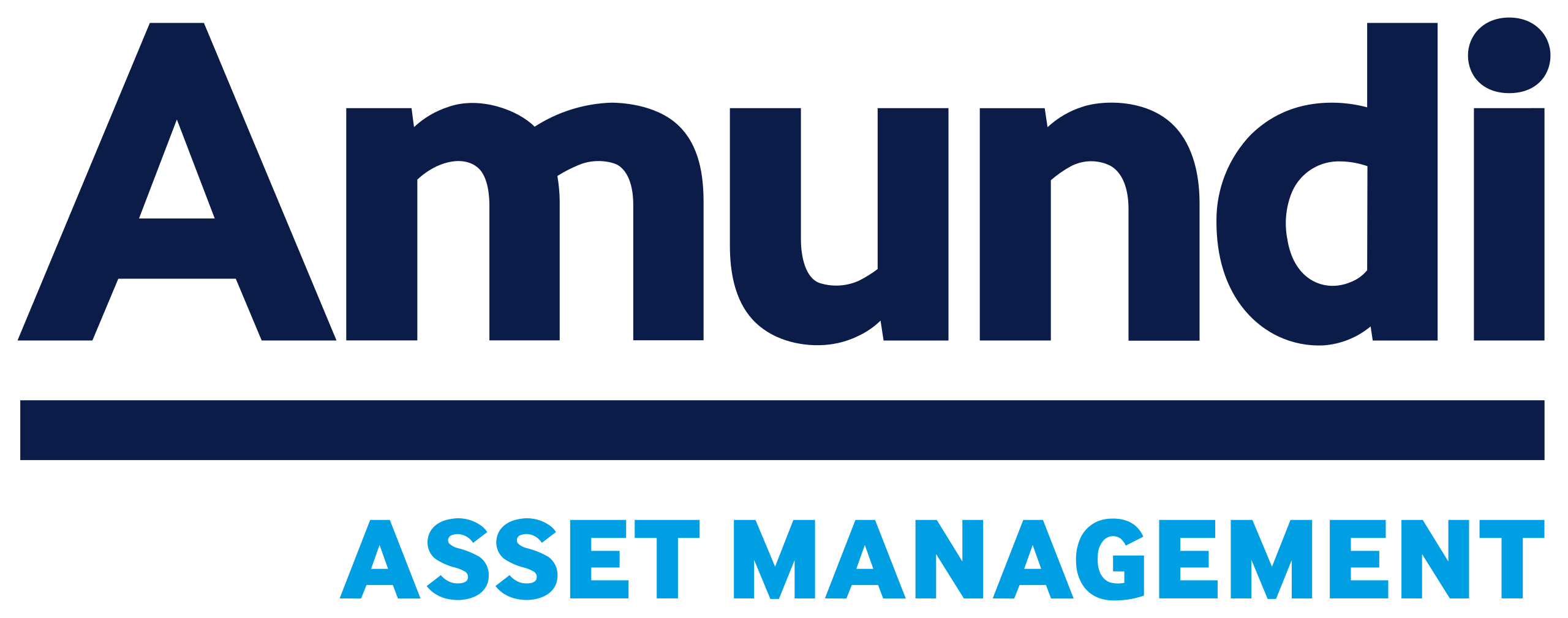 AMUNDI ASSET MANAGEMENT