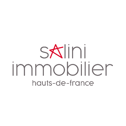 SALINI IMMOBILIER