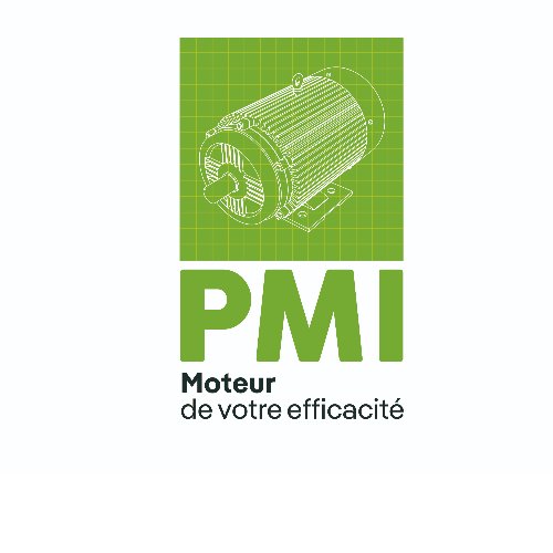 POLE MOTEURS INDUSTRIELS SAS