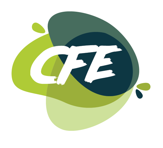 CONSEIL FLUIDE EQUIPEMENT