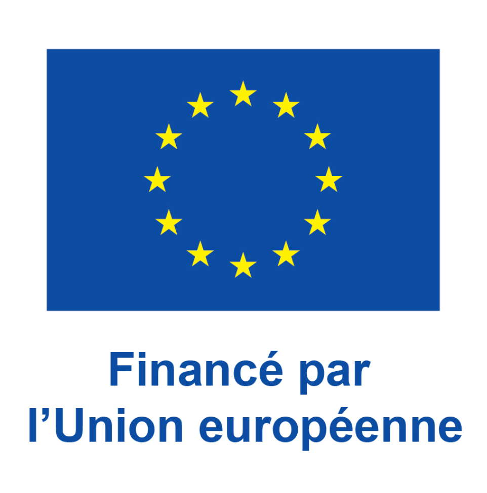 FINANCÉ PAR L'UNION EUROPÉENNE