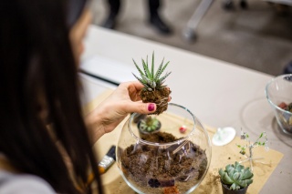 Terrarium - 15 octobre