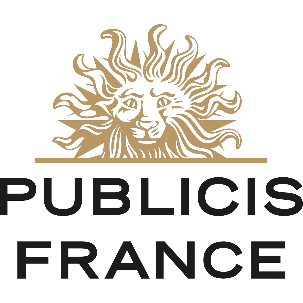 Publicis France