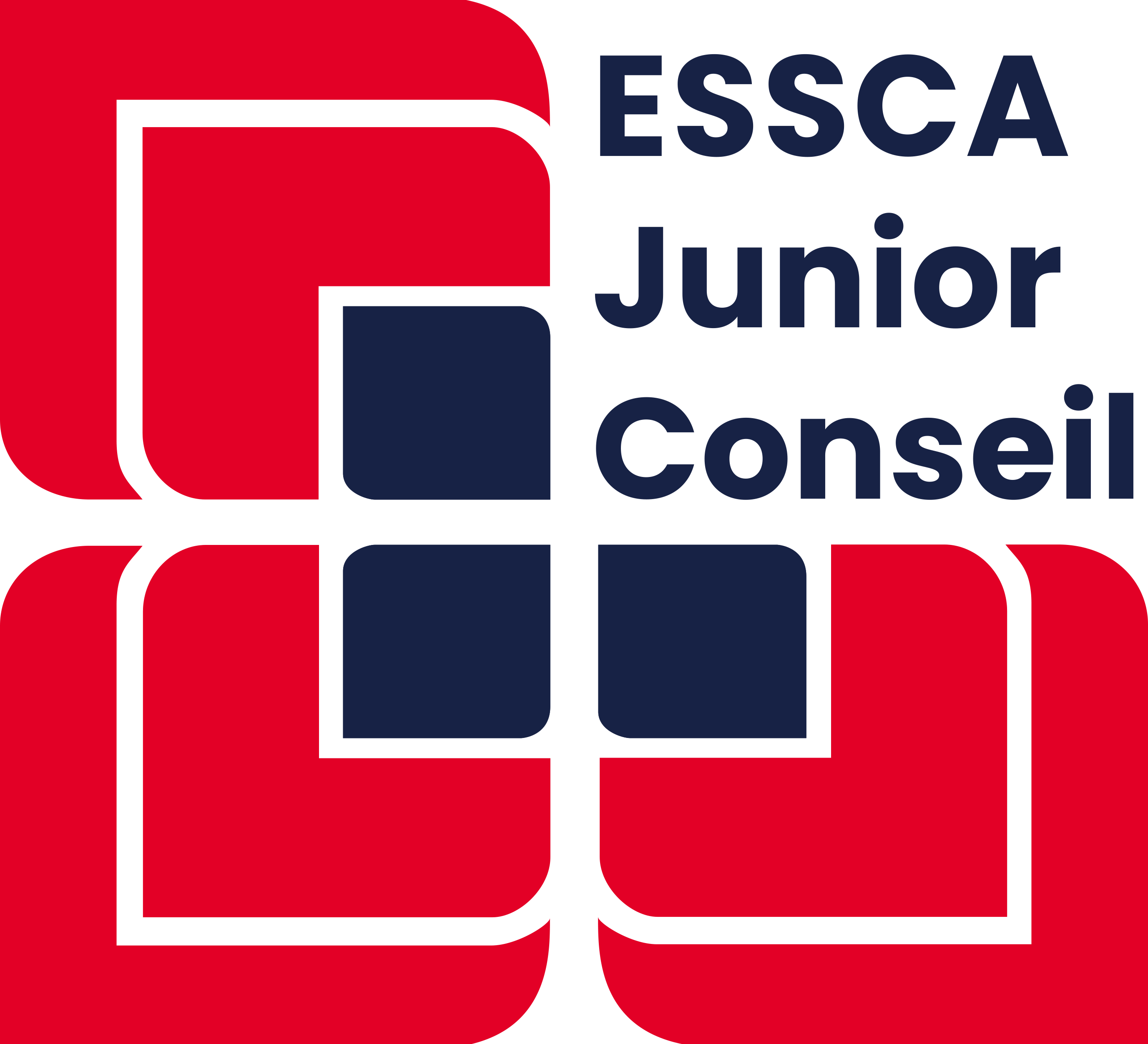 ESSCA Junior Conseil