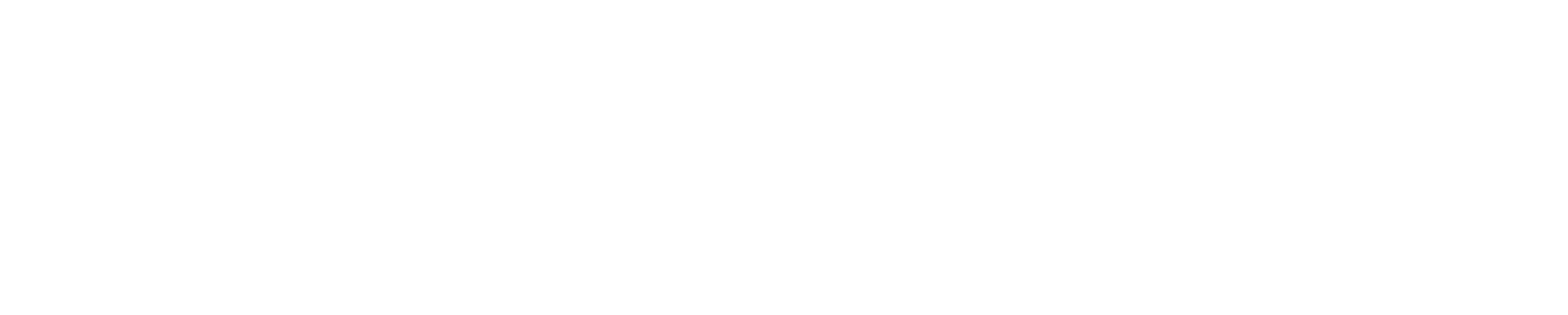 Rencontres Résonance de la RSE/RSO