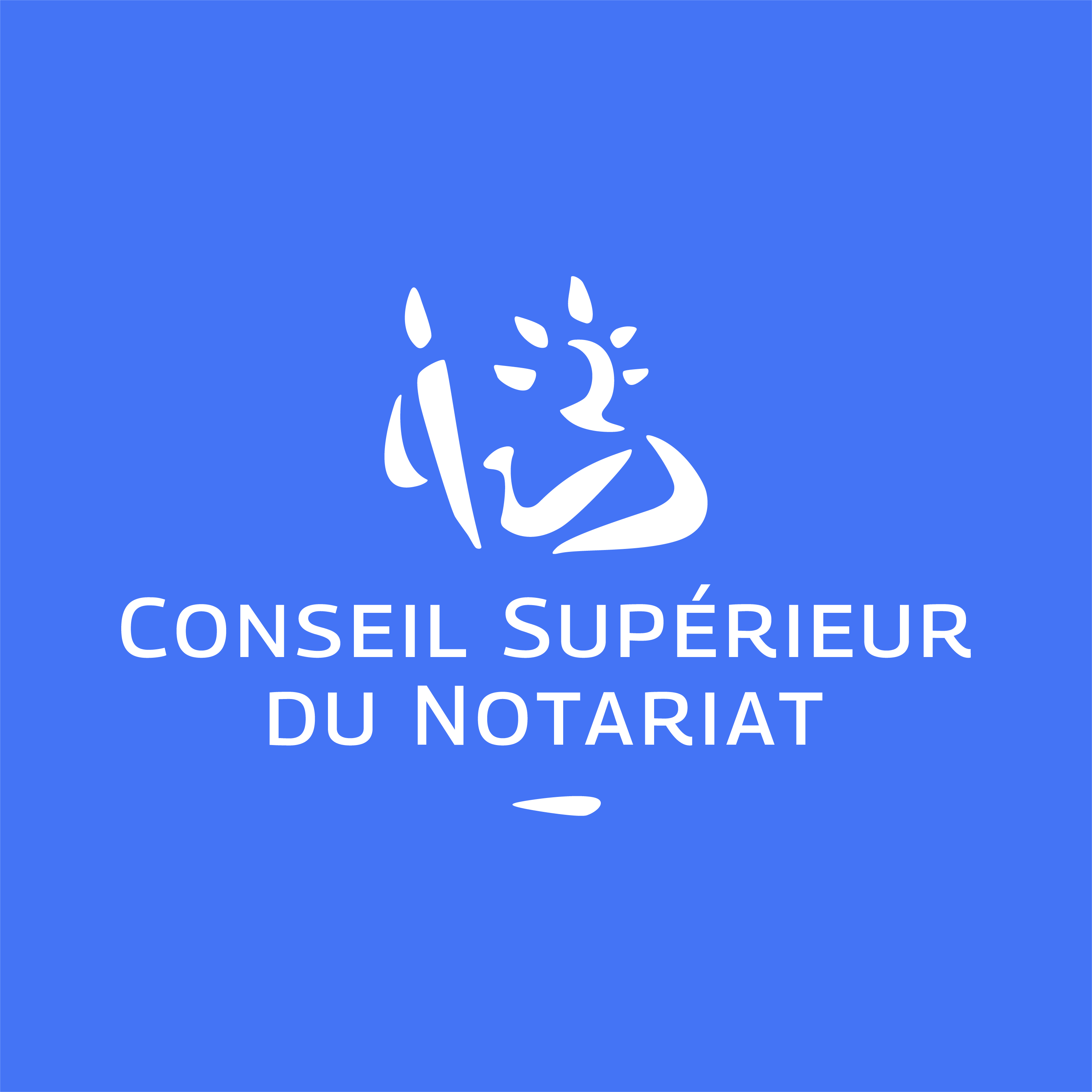 Conseil Supérieur du Notariat 