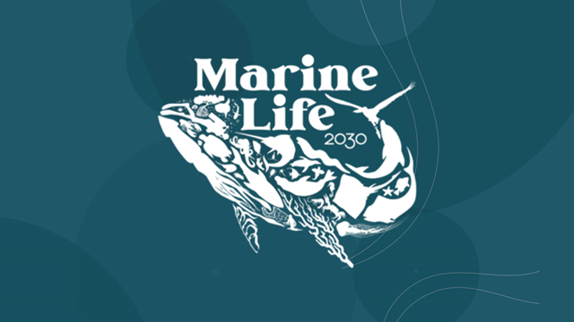 Prediction of Marine Biodiversity to support society: thoughts on requirements