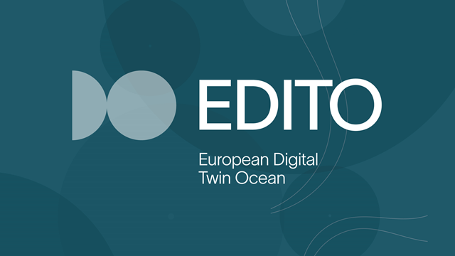 European Digital Twin of the Ocean perspective