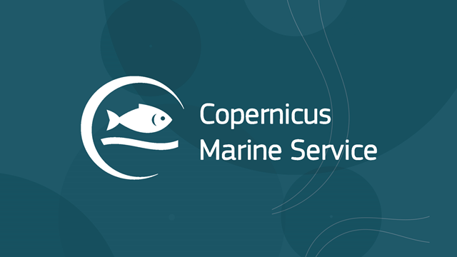 Copernicus Marine perspective