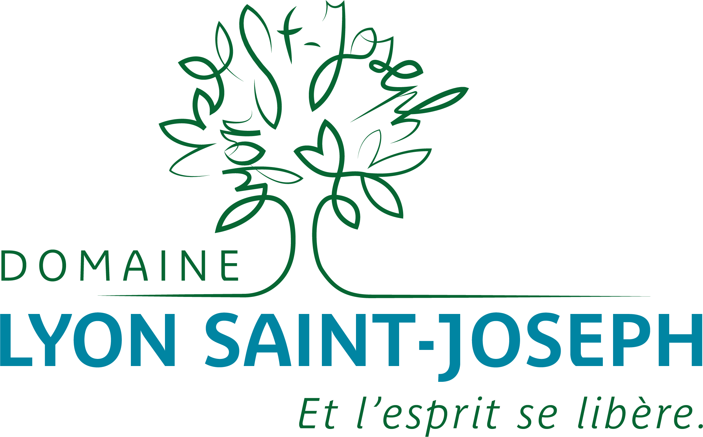 DOMAINE LYON SAINT JOSEPH