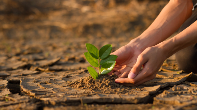 Plénière d’ouverture sur le climat 