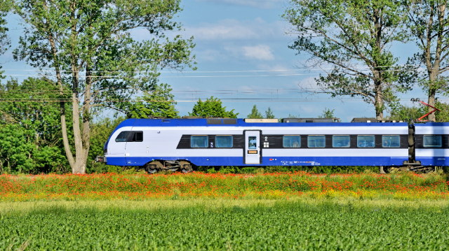 Mobilité durable et transports de demain