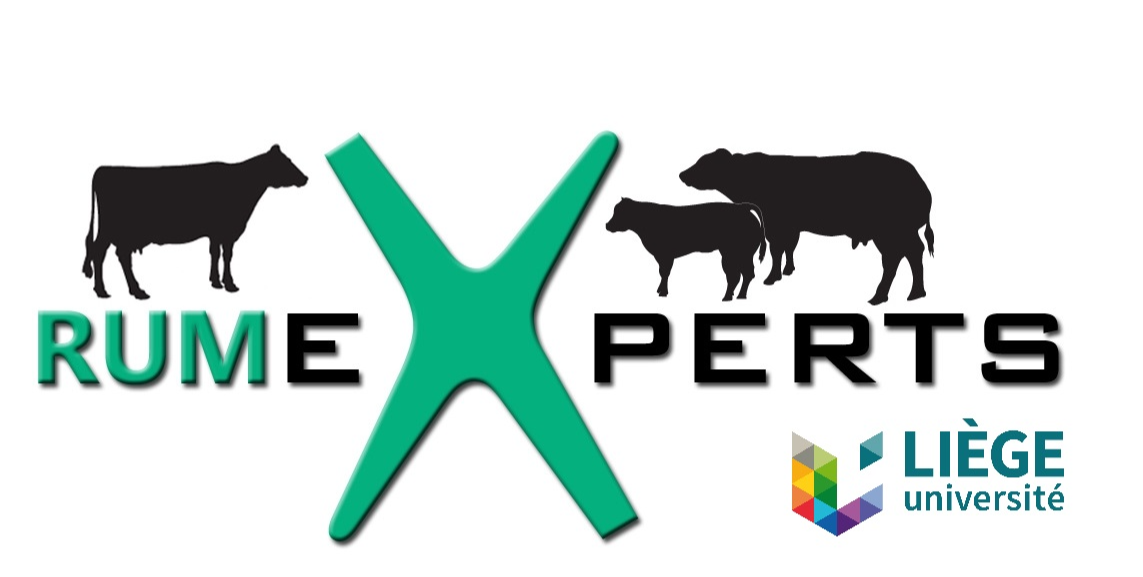 Rumexpert