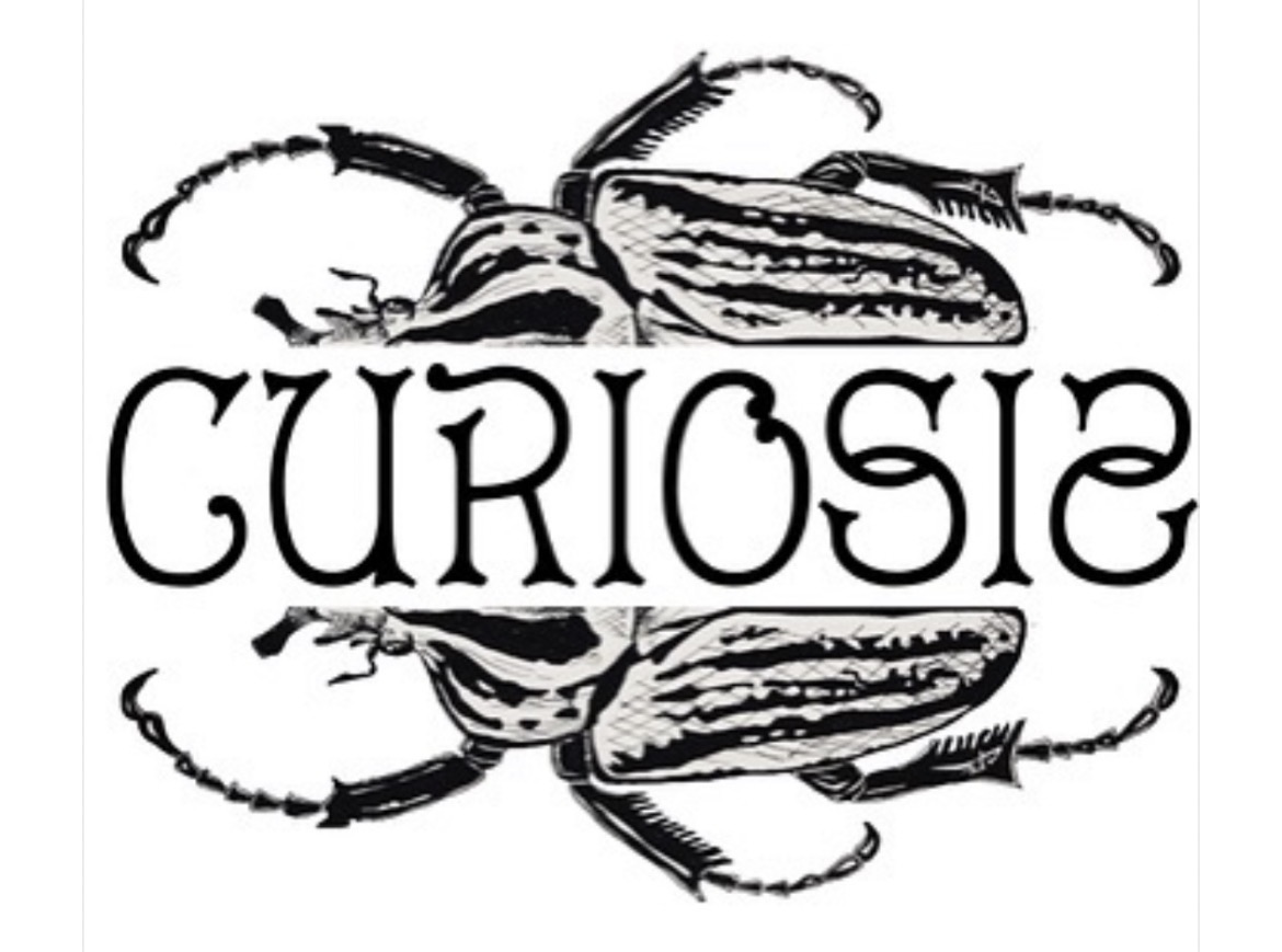 Curiosis