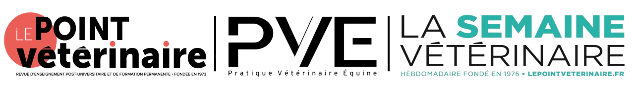 Accidentologie équine