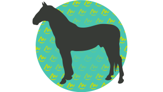 Parade Equine