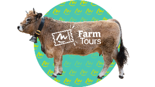 01 - Élevage bovin viande Aubrac