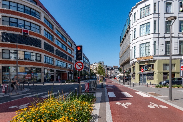 Déambulation écologique dans le centre de Lille