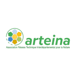 ARTEINA
