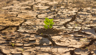 IMPACT CLIMATIQUES SUR LES PRODUCTIONS AGRICOLES par Christian HUYGUE - Directeur, chargé de mission à la direction scientifique de l'INRAE