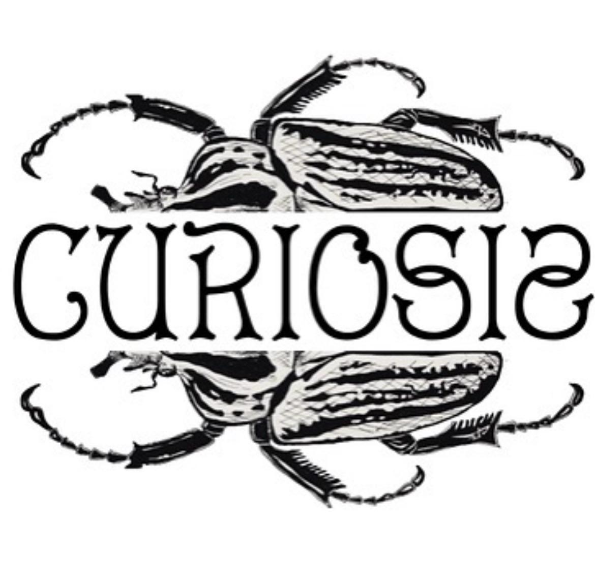 Curiosis