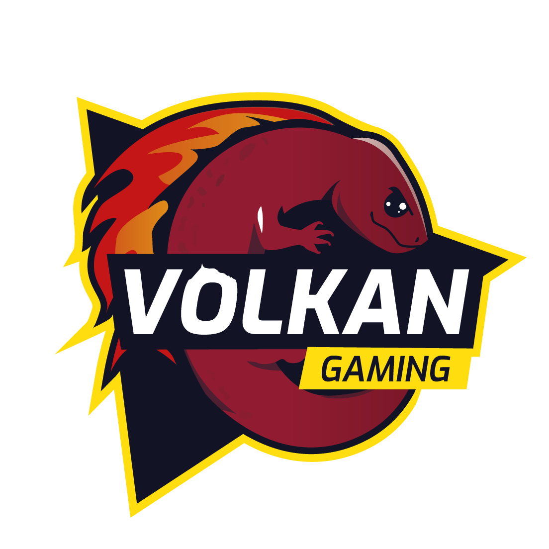 VOLKAN GAMING