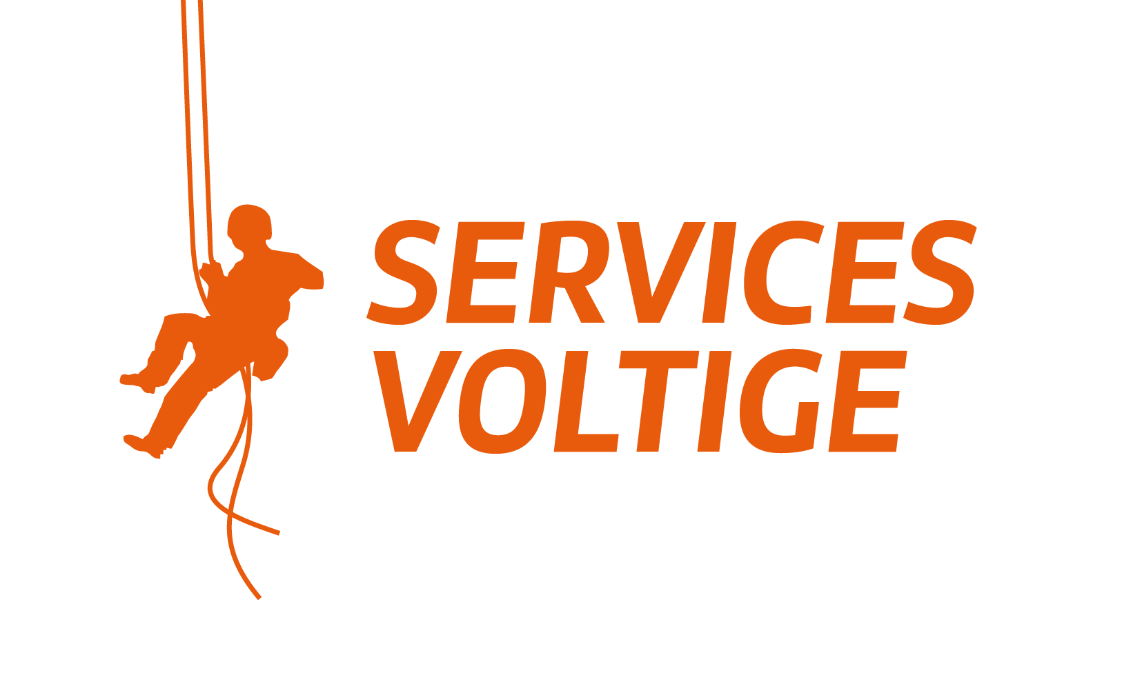 SERVICES VOLTIGE