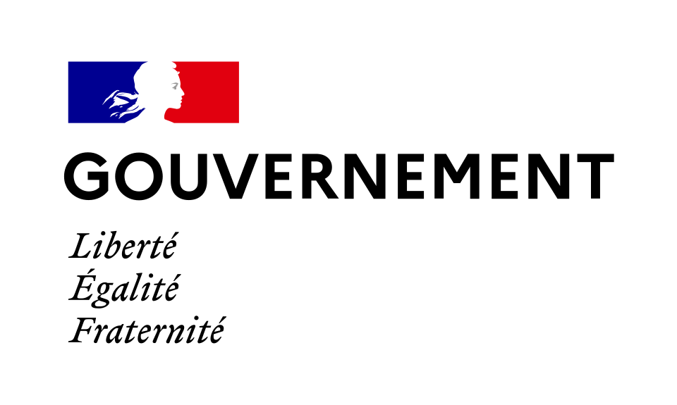 GOUVERNEMENT (France)