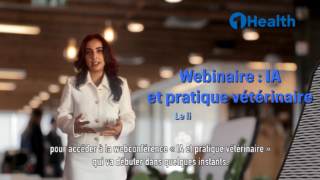 IA et pratique vétérinaire