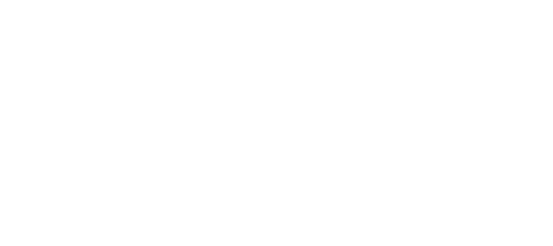 Silicon Day