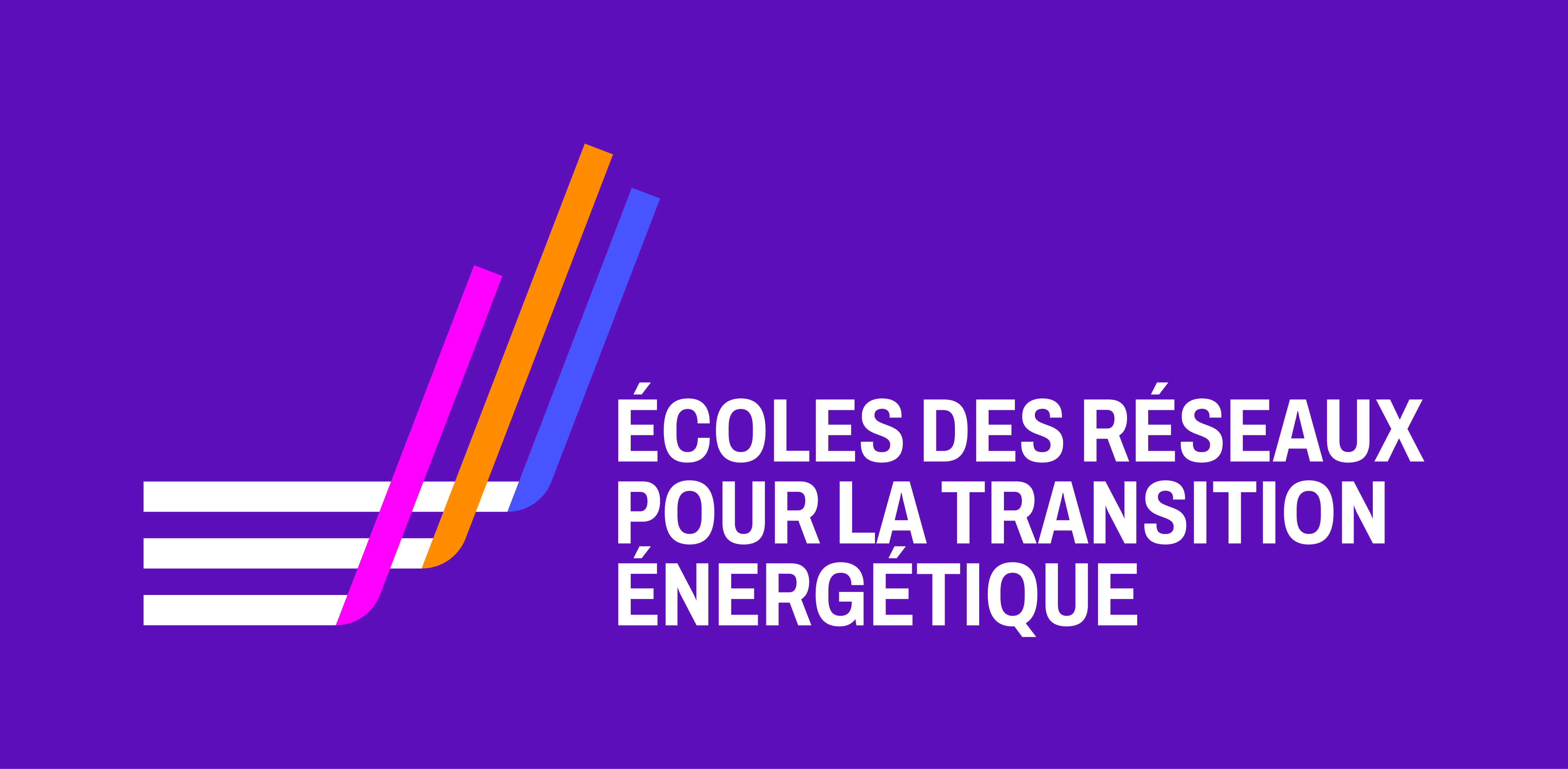 L'ECOLES DES RESEAUX POUR LA TRANSITION ENERGETIQUE