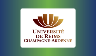 CO2 and ethanol mapping in the headspace of a glass of champagne: what influence on tasting?