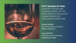 Fifty shades of pink : Storia scientifica e impatto tecnico della regolamentazione delle caratteristiche cromatiche del vino Franciacorta rosé