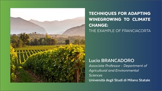Tecniche di adattamento della viticoltura ai cambiamenti climatici: l'esempio della Franciacorta