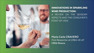 Le innovazioni nella produzione di vini spumanti: una rassegna sugli aspetti sensoriali e sul punto di vista del consumatore