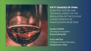 Fifty shades of pink : Storia scientifica e impatto tecnico della regolamentazione delle caratteristiche cromatiche del vino Franciacorta rosé