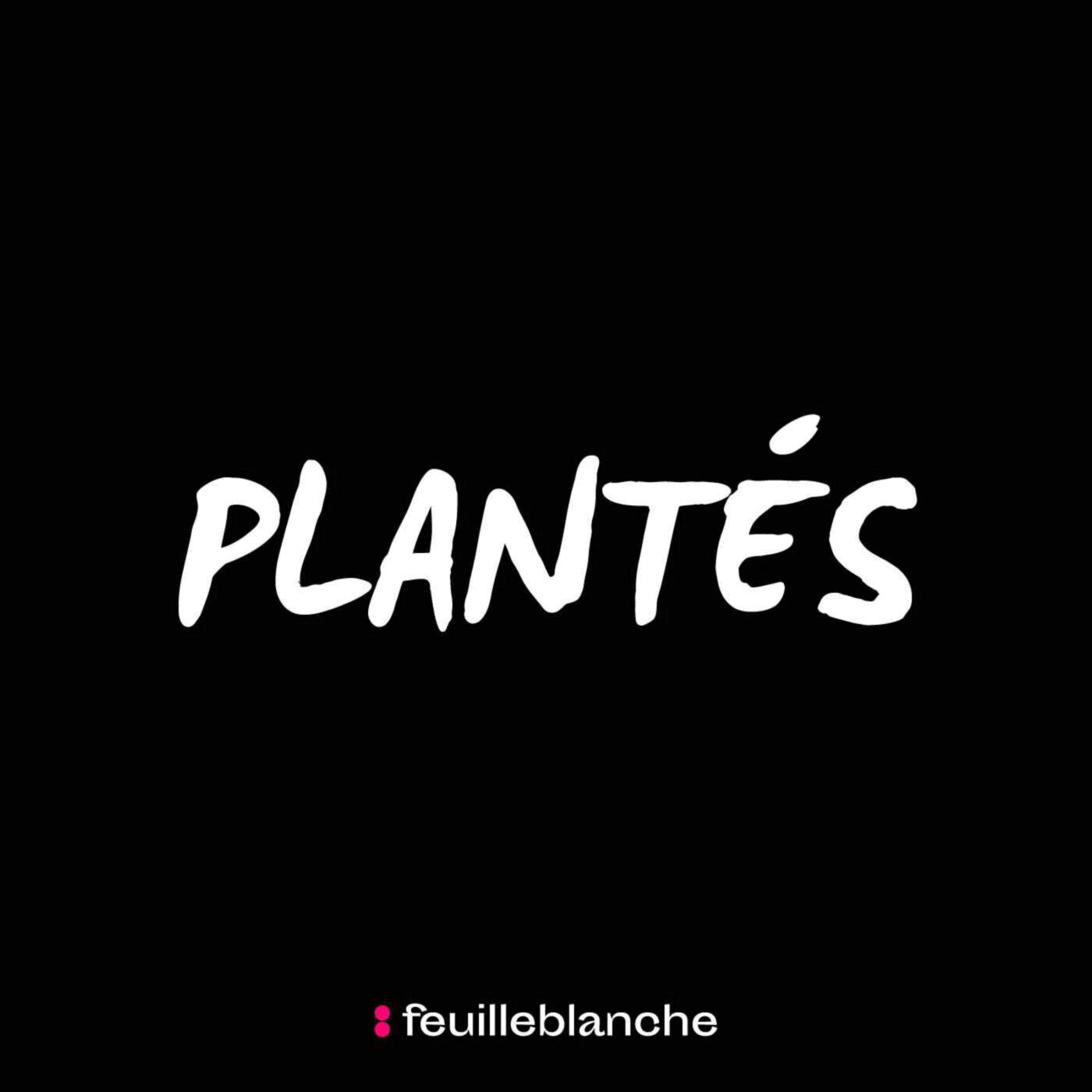 Plantés 