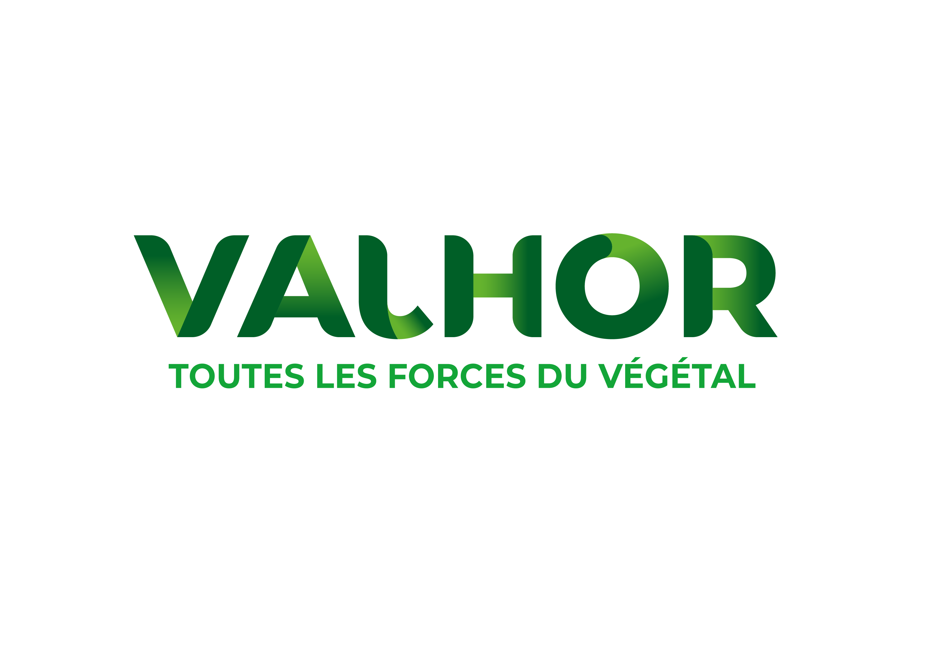 VALHOR