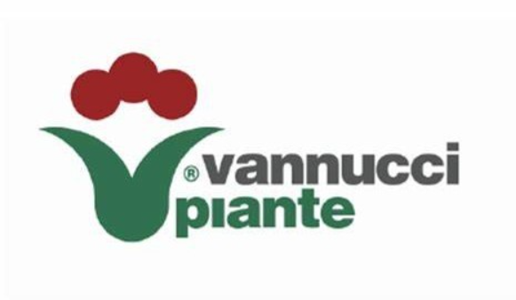 Vanucci 