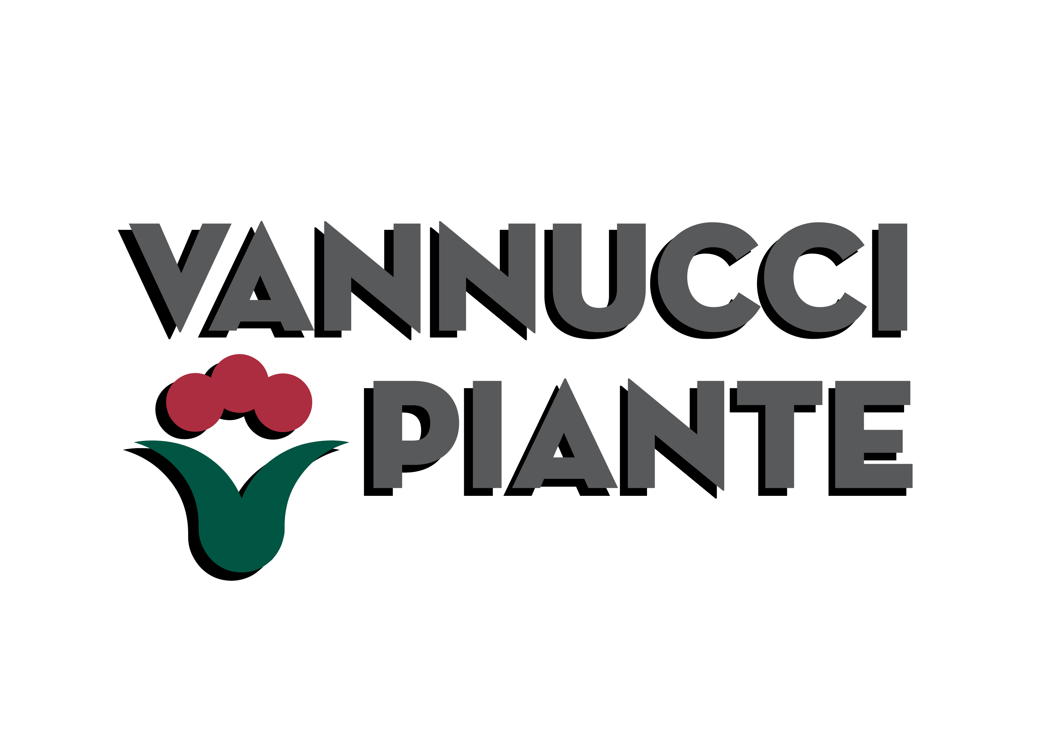 VANNUCCI PIANTE