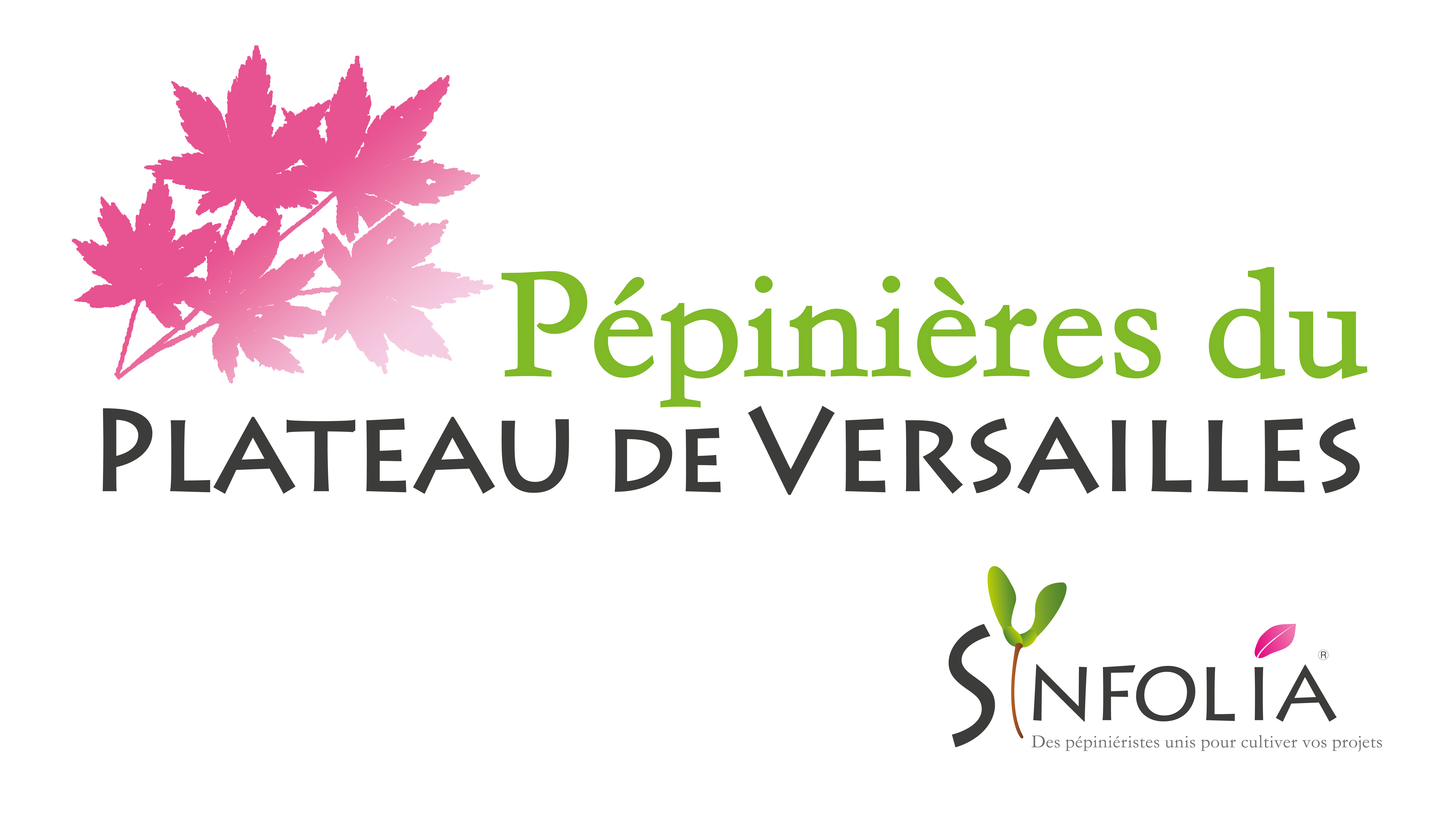 PEPINIERE DU PLATEAU DE VERSAILLES