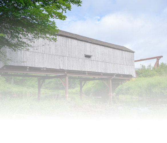 Deep Dive D: Promoting well-being and economic development in remote and rural areas  