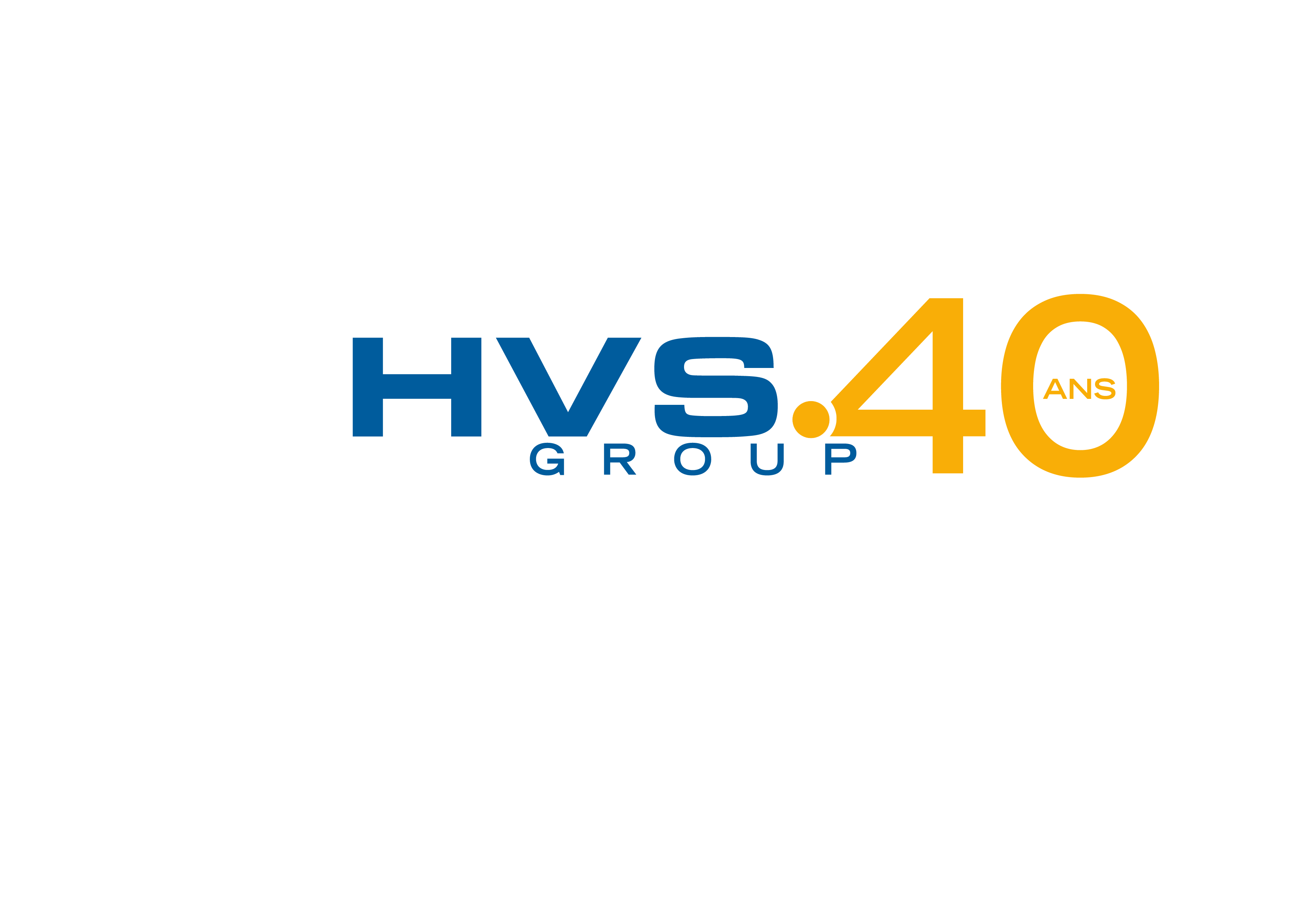 HVS SYSTEM