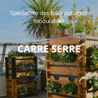 CARRE SERRE
