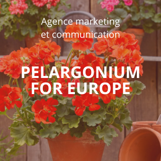 PELARGONIUM FOR EUROPE