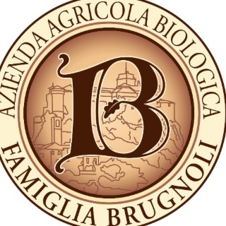 PARMIGIANO REGGIANO BIO BRUGNOLI