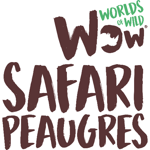 WOW SAFARI PEAUGRES